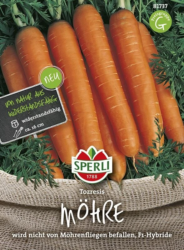 Möhre Tozresis F1, Kein Befall Durch Möhrenfliege, Geschmack: Angenehm Süß 3 Möhre Tozresis F1, Kein Befall Durch Möhrenfliege, Geschmack: Angenehm Süß