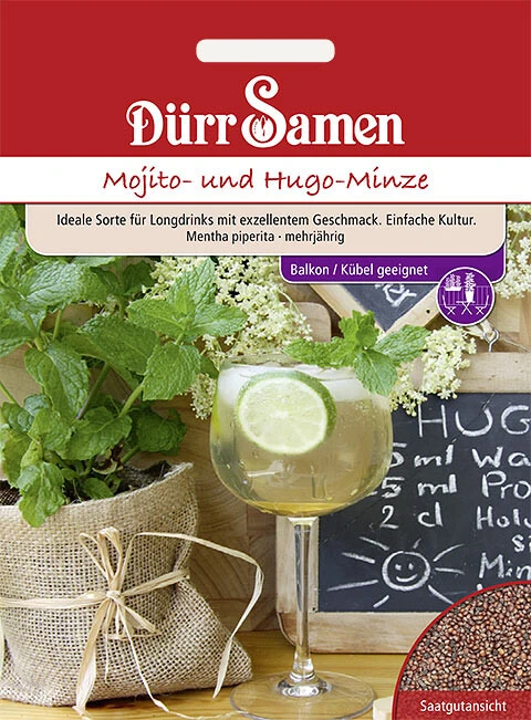 Mojito- Und Hugo-Minze 3 Mojito- Und Hugo-Minze