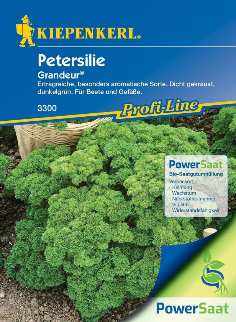 Profi-Line Petersilie Darki "Grandeur" (PowerSaat), Dicht Gekraust, Ertragreich 4 Profi-Line Petersilie Darki "Grandeur" (PowerSaat), Dicht Gekraust, Ertragreich – Bild 2