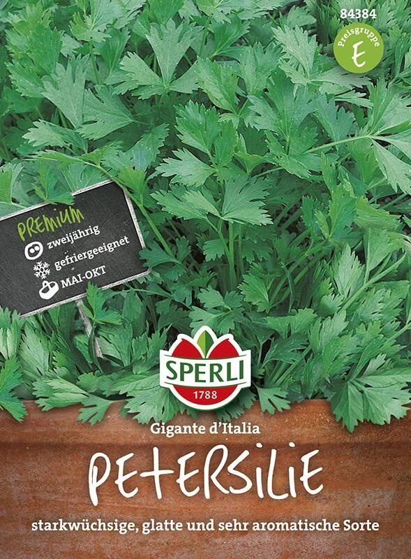 Petersilie Gigante D’Italia 4 Petersilie Gigante D’Italia – Bild 2