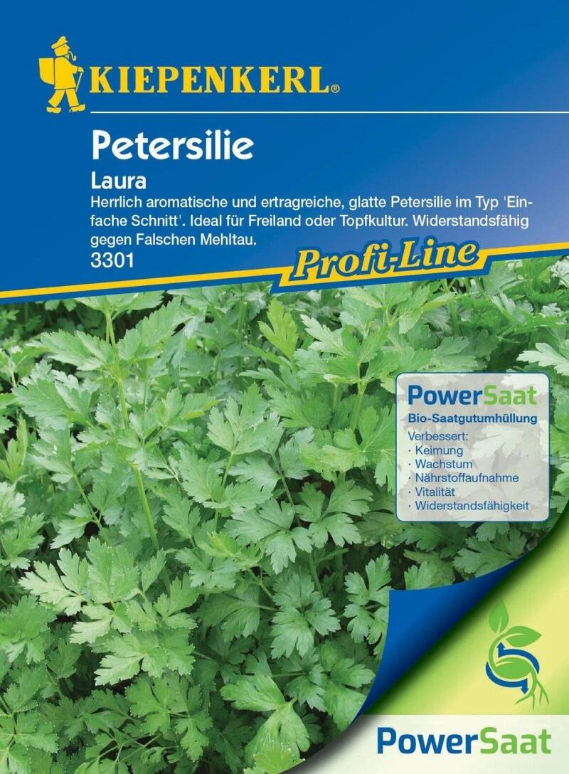 Profi-Line Petersilie Laura (PowerSaat), Aromatisch Und Ertragreich, Glatt, Freiland Und Topf 4 Profi-Line Petersilie Laura (PowerSaat), Aromatisch Und Ertragreich, Glatt, Freiland Und Topf – Bild 2