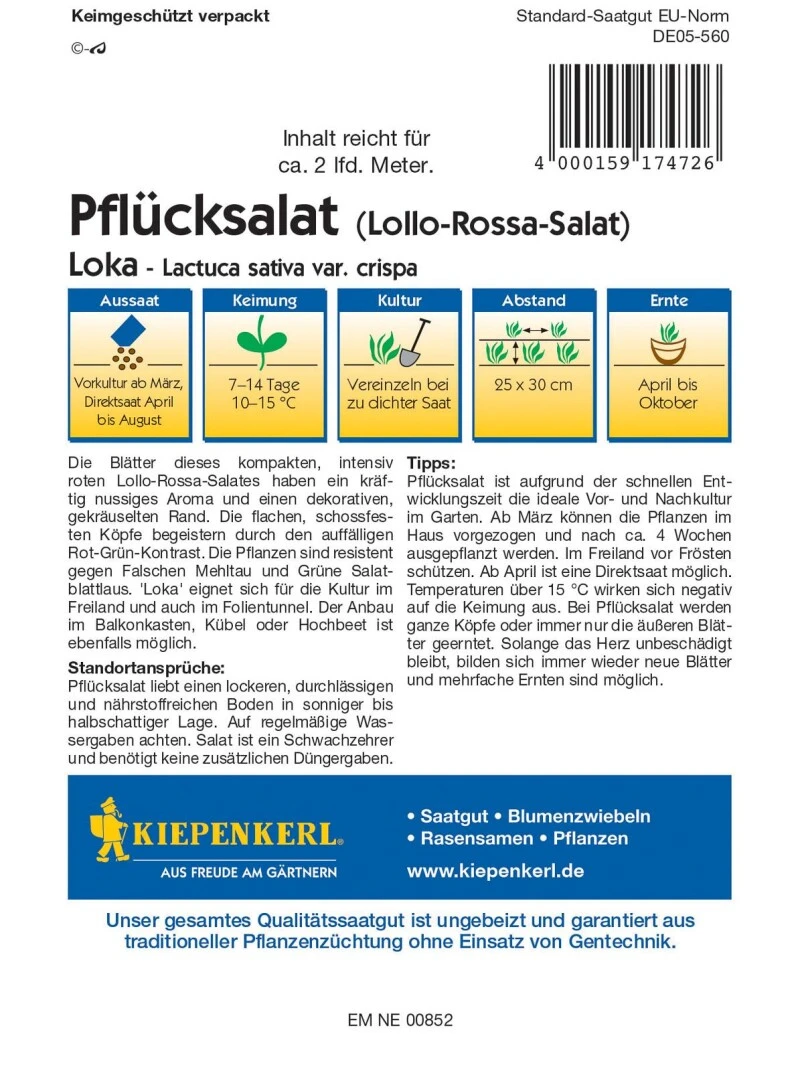 Pflücksalat Loka, Kompakt Wachsender Roter Pflücksalat, Resistent Gegen Falschen Mehltau 5 Pflücksalat Loka, Kompakt Wachsender Roter Pflücksalat, Resistent Gegen Falschen Mehltau – Bild 3