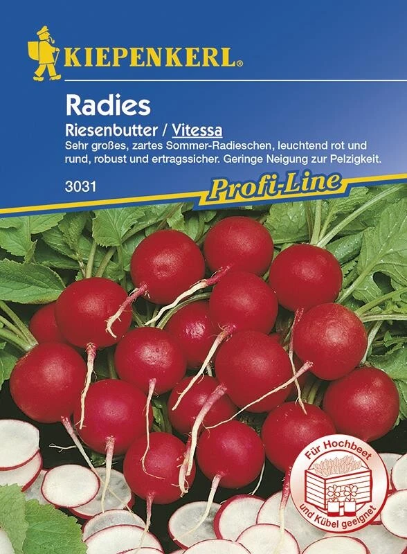 Radies Riesenbutter Vitessa 3 Radies Riesenbutter Vitessa