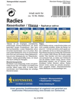 Radies Riesenbutter Vitessa 5 Radies Riesenbutter Vitessa -Krauter Samen Geschaft radies riesenbutter vitessa2