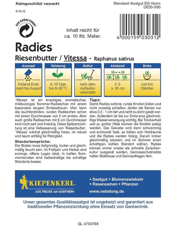 Radies Riesenbutter Vitessa 4 Radies Riesenbutter Vitessa – Bild 2