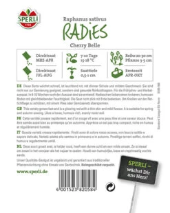 Radieschen Cherry Belle