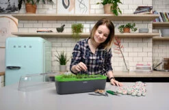 Romberg Piketten, Pikierstab & Etikettenhalter