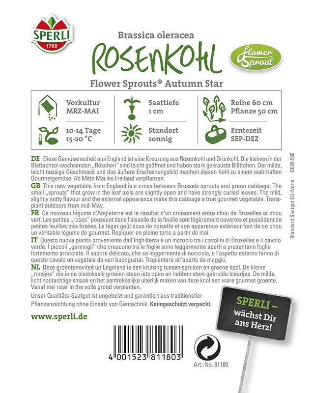Rosenkohl Flower Sprout Autumn Star 3 Rosenkohl Flower Sprout Autumn Star