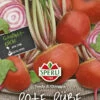 Rote Rüben Tondo Di Chioggia -Krauter Samen Geschaft rote rueben tondo di chioggia