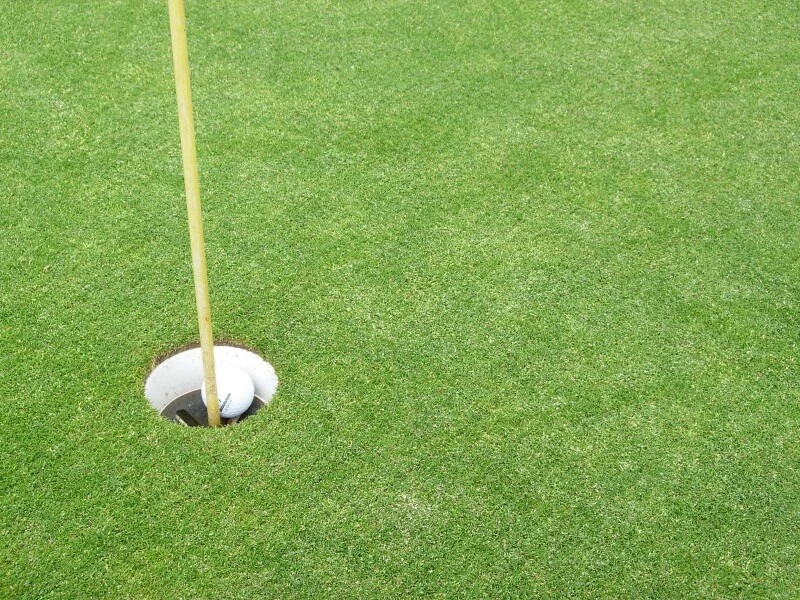 RSM-Rasensamen 4.1.3 Golfrasen Grün 10kg 3 RSM-Rasensamen 4.1.3 Golfrasen Grün 10kg