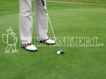 RSM-Rasensamen 4.2.1 Golfrasen DSV 420 Vorgrün 10kg 5 RSM-Rasensamen 4.2.1 Golfrasen DSV 420 Vorgrün 10kg – Bild 3