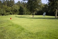 RSM-Rasensamen 4.3 Golfrasen Abschlag 10kg