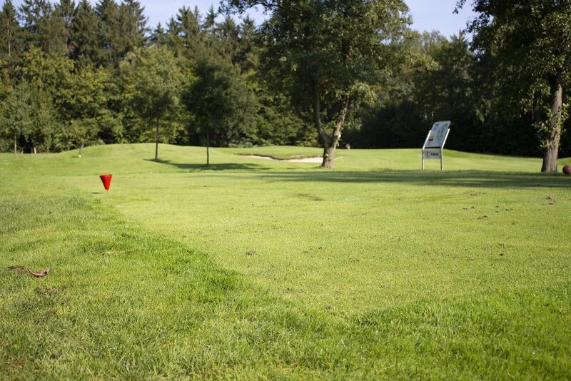 RSM-Rasensamen 4.3 Golfrasen Abschlag 10kg 3 RSM-Rasensamen 4.3 Golfrasen Abschlag 10kg