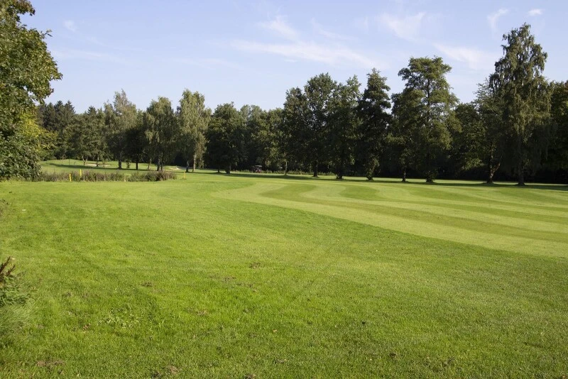 RSM-Rasensamen 4.4.1 Golfrasen Spielbahn 10kg 3 RSM-Rasensamen 4.4.1 Golfrasen Spielbahn 10kg