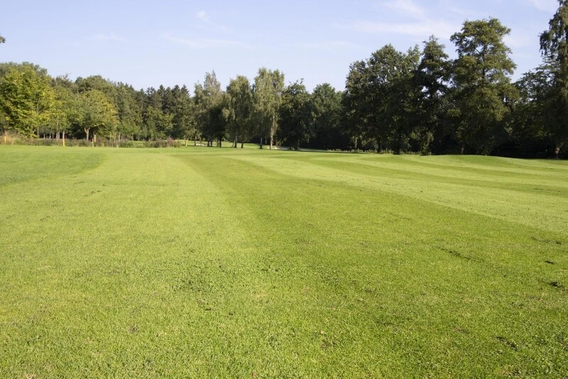 RSM-Rasensamen 4.4.2 Golfrasen Spielbahn 10kg 3 RSM-Rasensamen 4.4.2 Golfrasen Spielbahn 10kg