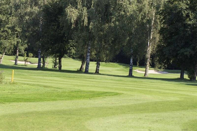 RSM-Rasensamen 4.4.3 Golfrasen Spielbahn 10kg 3 RSM-Rasensamen 4.4.3 Golfrasen Spielbahn 10kg