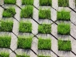 RSM-Rasensamen 5.1.1 Parkplatzrasen Ohne Achillea 10kg -Krauter Samen Geschaft rsm rasensamen 511 parkplatzrasen ohne achillea 10kg