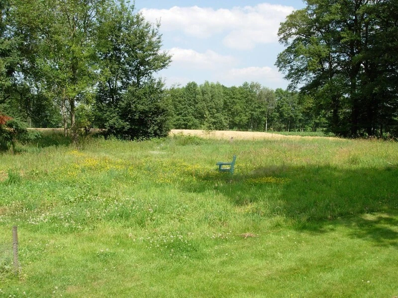 RSM-Rasensamen 7.1.2 Landschaftsrasen Standard Mit Kräutern 10kg 3 RSM-Rasensamen 7.1.2 Landschaftsrasen Standard Mit Kräutern 10kg