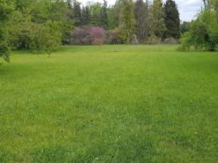 RSM-Rasensamen 7.2.1 Landschaftsrasen Trockenlagen O. Kräuter