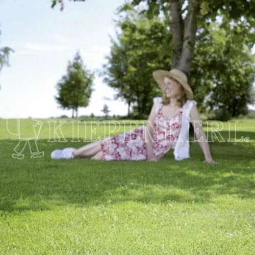 RSM-Rasensamen 7.4.1 Landschaftsrasen Halbschatten 10kg 3 RSM-Rasensamen 7.4.1 Landschaftsrasen Halbschatten 10kg