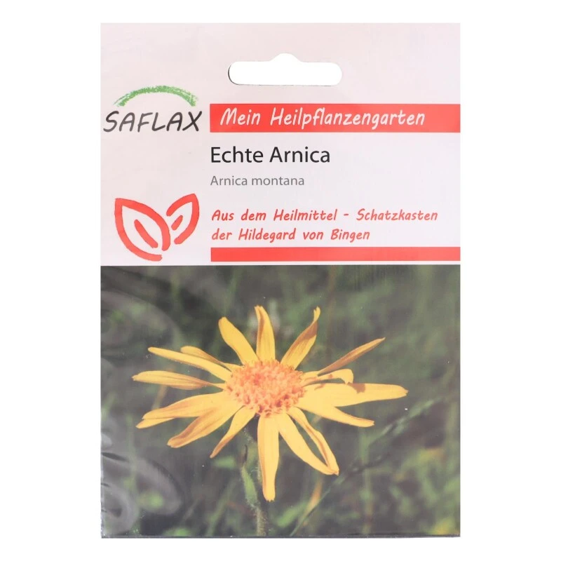 Echte Arnica Heilpflanzen Saatgut - 40 Samen - Arnica Montana 4 Echte Arnica Heilpflanzen Saatgut - 40 Samen - Arnica Montana – Bild 2
