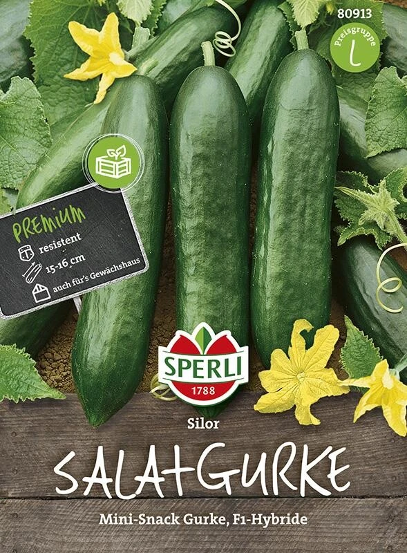Salatgurke Mini-Snack Gurke Silor F1 3 Salatgurke Mini-Snack Gurke Silor F1