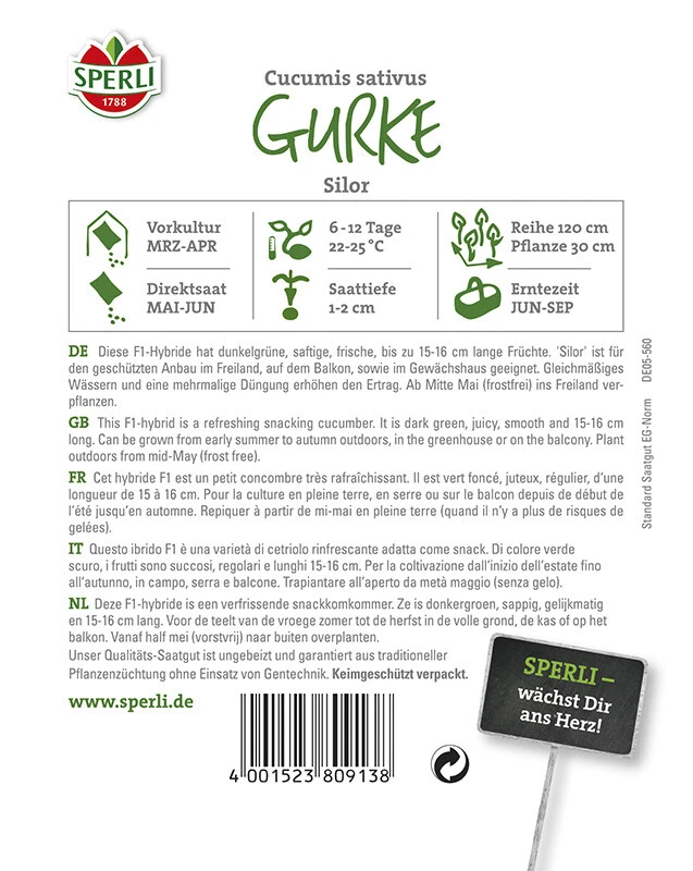 Salatgurke Mini-Snack Gurke Silor F1 4 Salatgurke Mini-Snack Gurke Silor F1 – Bild 2