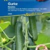 Salatgurken Minigurke Picolino Tolerant -Krauter Samen Geschaft salatgurken minigurke picolino tolerant3
