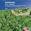 Salatrauke Ruca Saatband 5mtr 2 Salatrauke Ruca Saatband 5mtr -Krauter Samen Geschaft salatrauke ruca saatband 5mtr