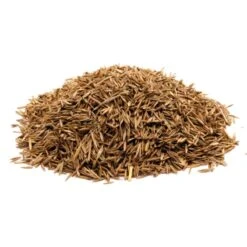 Samenshop24® Repräsentationsrasen 1kg Für 50m² 14 Samenshop24® Repräsentationsrasen 1kg Für 50m² -Krauter Samen Geschaft samenshop24 repraesentationsrasen 1kg fuer 50m2