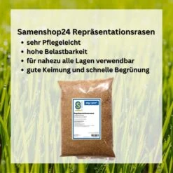 Samenshop24® Repräsentationsrasen 1kg Für 50m² 13 Samenshop24® Repräsentationsrasen 1kg Für 50m² -Krauter Samen Geschaft samenshop24 repraesentationsrasen 1kg fuer 50m4