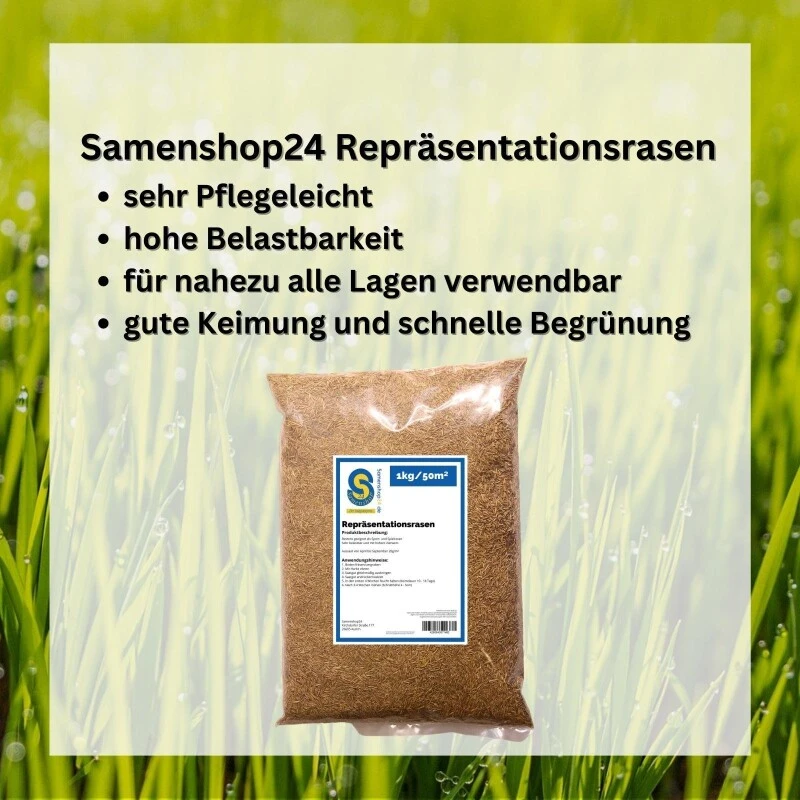 Samenshop24® Repräsentationsrasen 1kg Für 50m² 7 Samenshop24® Repräsentationsrasen 1kg Für 50m² – Bild 5
