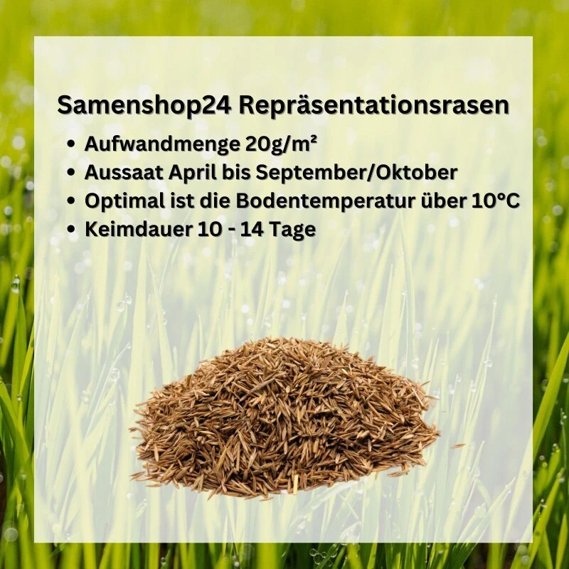 Samenshop24® Repräsentationsrasen 1kg Für 50m² 9 Samenshop24® Repräsentationsrasen 1kg Für 50m² – Bild 7
