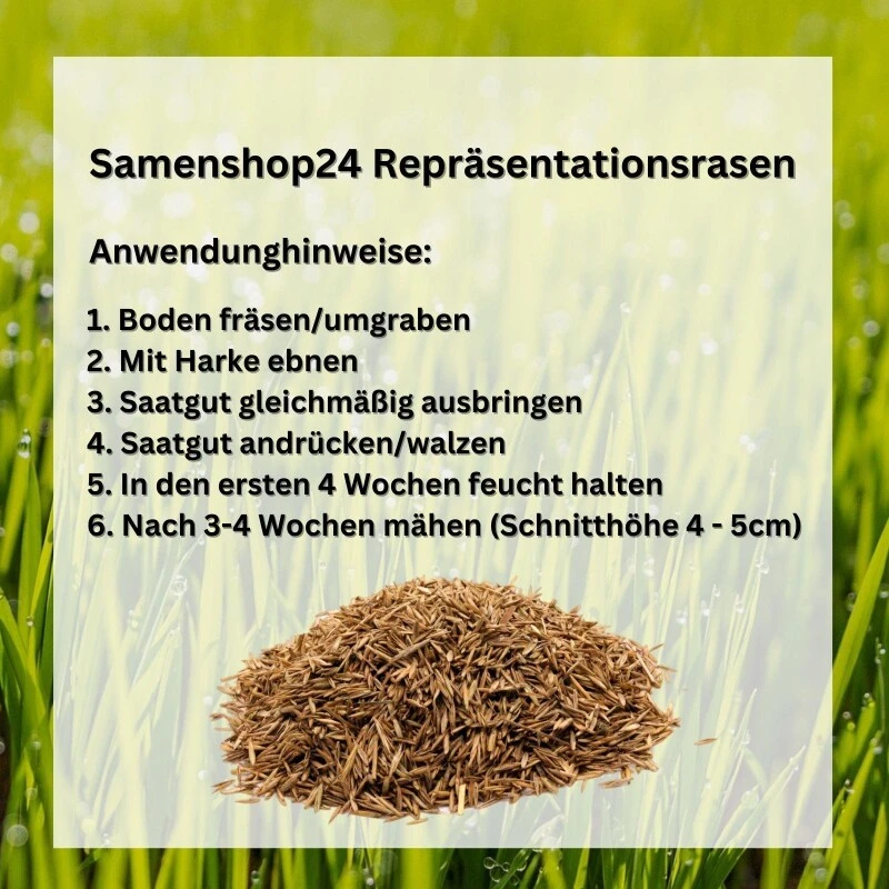 Samenshop24® Repräsentationsrasen 1kg Für 50m² 3 Samenshop24® Repräsentationsrasen 1kg Für 50m²