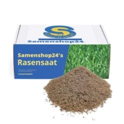Samenshop24® RSM-Rasensamen 2.3 Gebrauchsrasen Spielrasen 1kg Für 40qm