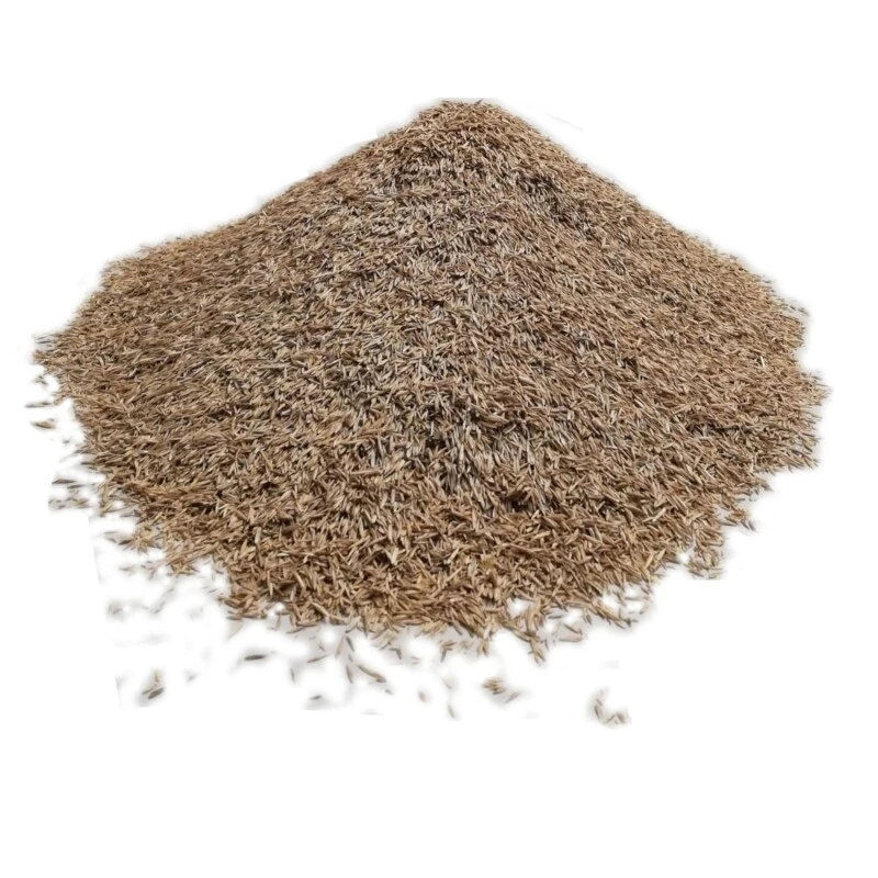 Samenshop24® RSM-Rasensamen 3.2 Sportrasen Regeneration Mit Poa Pratensis 1kg 5 Samenshop24® RSM-Rasensamen 3.2 Sportrasen Regeneration Mit Poa Pratensis 1kg – Bild 3