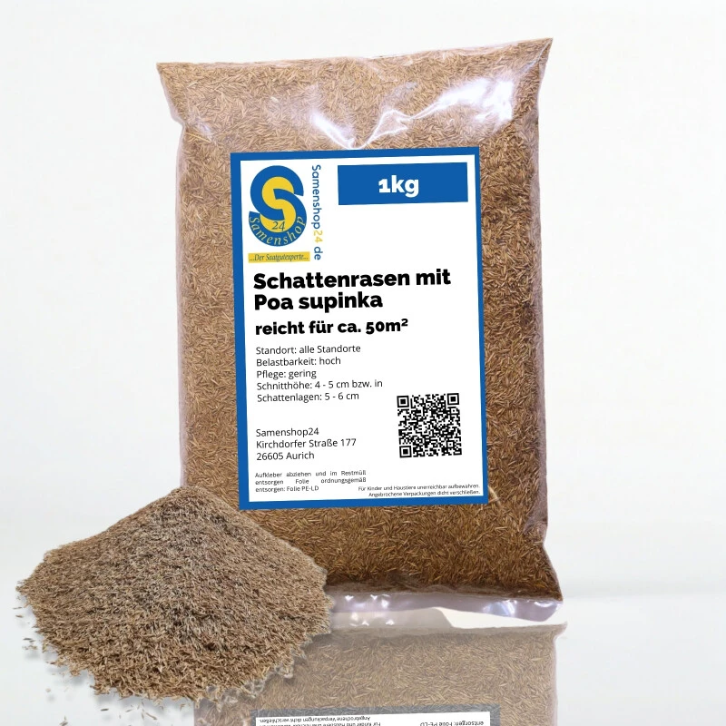 Samenshop24® Schattenrasen Mit Poa Supina 1kg Für 50m² 3 Samenshop24® Schattenrasen Mit Poa Supina 1kg Für 50m²