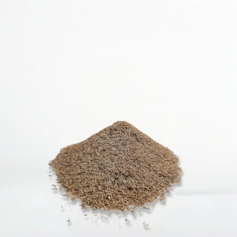 Samenshop24® Schattenrasen Mit Poa Supina 1kg Für 50m² 4 Samenshop24® Schattenrasen Mit Poa Supina 1kg Für 50m² – Bild 2