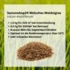 Samenshop24® Welsches Weidelgras Lolium Multiflorum 1kg 1 Samenshop24® Welsches Weidelgras Lolium Multiflorum 1kg -Krauter Samen Geschaft samenshop24 welsches weidelgras lolium multiflorum 1kg2