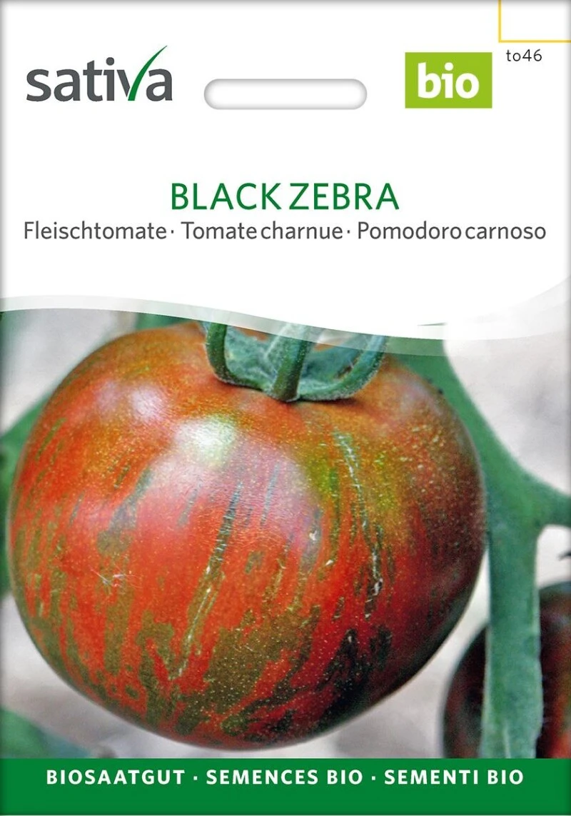Fleischtomate BLACK ZEBRA Samfenste Bio-Sorte 3 Fleischtomate BLACK ZEBRA Samfenste Bio-Sorte