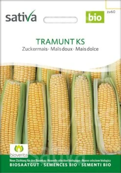 Zuckermais TRAMUNT KS, Extrasüss, Aus Sativa-Züchtung. Mittelspäte Sorte -Krauter Samen Geschaft sativa mais tramunt ks