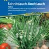 Schnittlauch-Knoblauch Neko, Ein Bis Mehrjährig, Aromatisch Mild Im Geschmack, Kiepenkerl 2 Schnittlauch-Knoblauch Neko, Ein Bis Mehrjährig, Aromatisch Mild Im Geschmack, Kiepenkerl -Krauter Samen Geschaft schnittlauch knoblauch neko