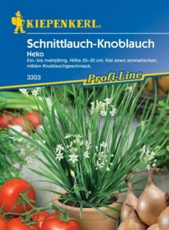 Schnittlauch-Knoblauch Neko, Ein Bis Mehrjährig, Aromatisch Mild Im Geschmack, Kiepenkerl