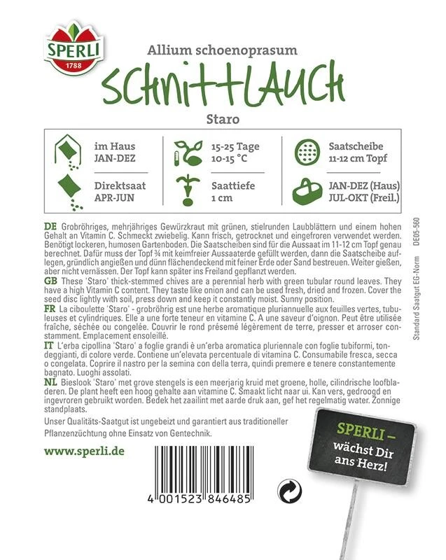 Schnittlauch Staro, 5 Saatscheiben 4 Schnittlauch Staro, 5 Saatscheiben – Bild 2