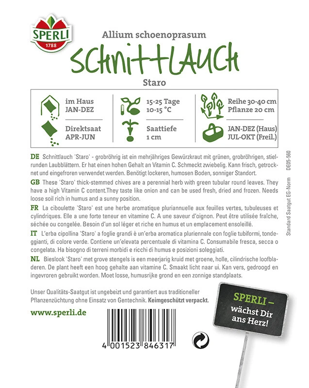 Schnittlauch Staro 3 Schnittlauch Staro