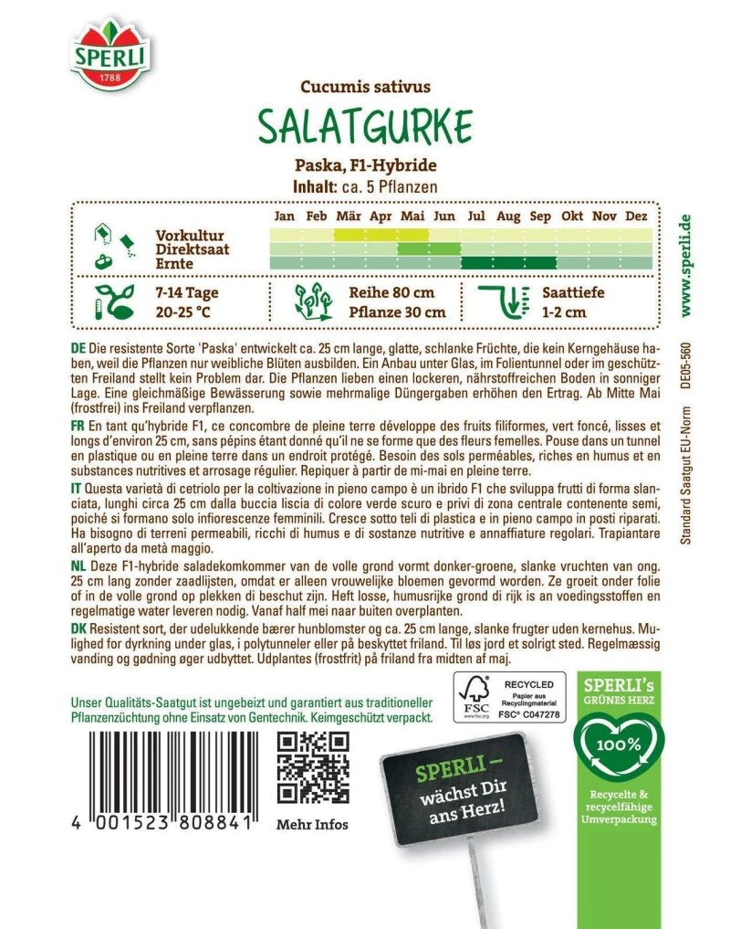 Salatgurke Paska F1, Resistent, Ertragreich, Für Freiland Und Gewächshaus, Saatgut Von Sperli 4 Salatgurke Paska F1, Resistent, Ertragreich, Für Freiland Und Gewächshaus, Saatgut Von Sperli – Bild 2
