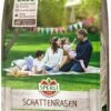 SPERLI's Schattenrasen (umhüllt), Höchste Schattentoleranz Dank Poa Supina -Krauter Samen Geschaft sperlis schattenrasen umhuellt
