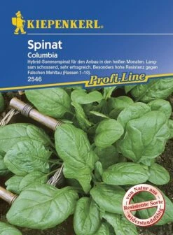Spinat Columbia F1, Schossfest, Entwickelt Kräftige Blätter Mit Dunkelgrüner Farbe