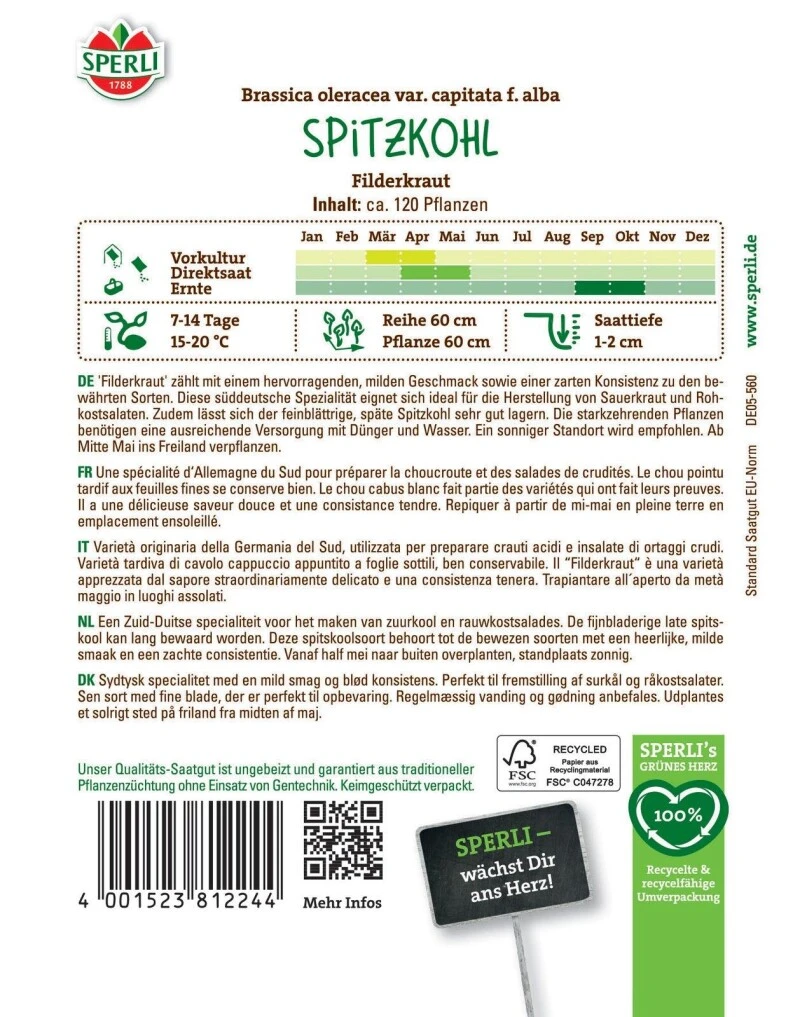 Spitzkohl / Weißkohl Filderkraut, Bewährte Sorte, Lagerfähig, Saatgut Von Sperli 4 Spitzkohl / Weißkohl Filderkraut, Bewährte Sorte, Lagerfähig, Saatgut Von Sperli – Bild 2