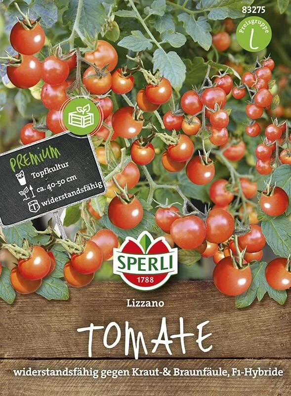 Tomate Lizzano 4 Tomate Lizzano – Bild 2